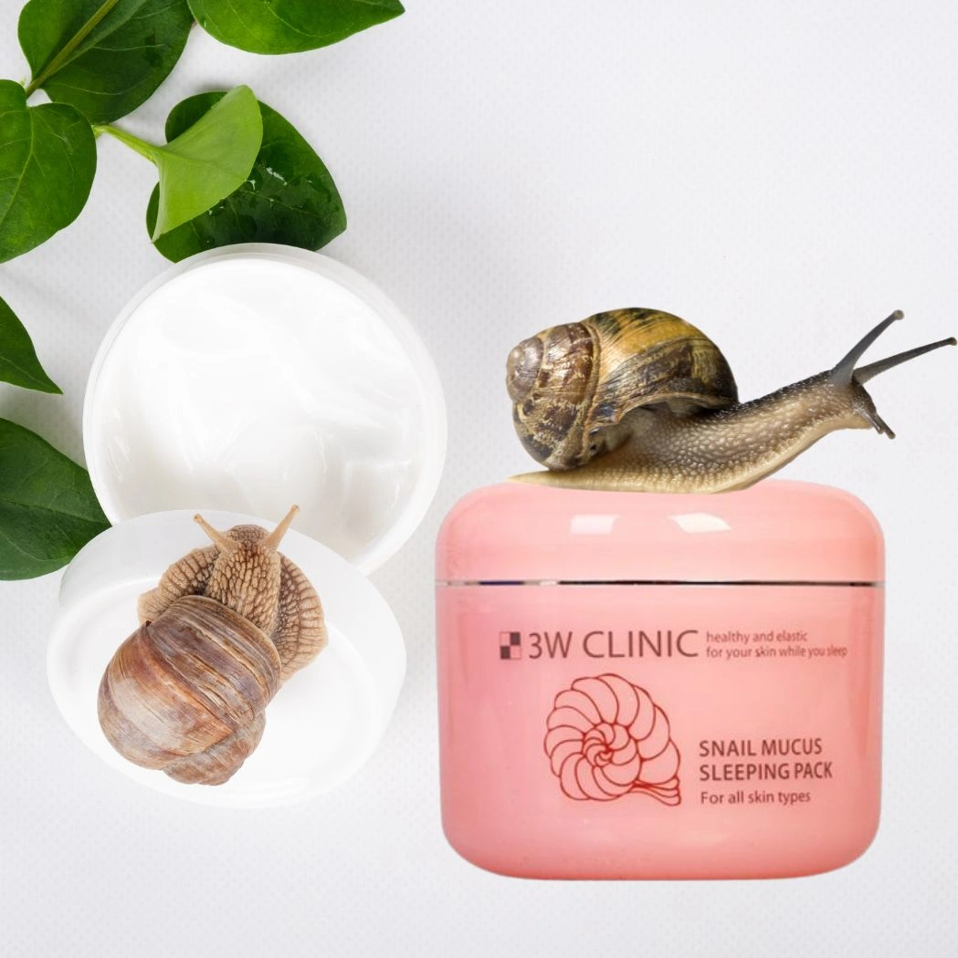 3W Clinic Snail Mucus Sleeping Pack 3W Clinic Snail Mucus Sleeping Pack