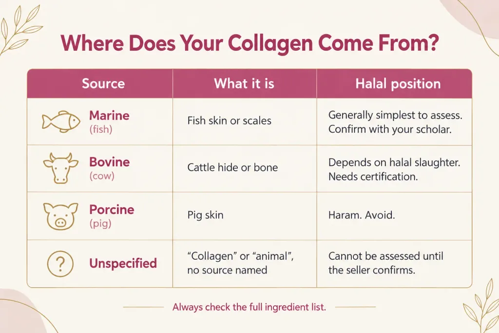 halal collagen
